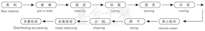 脫水蔬菜帶式干燥工藝流程